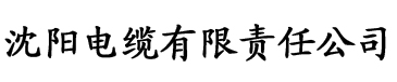 柳无邪太荒吞天决电缆厂logo